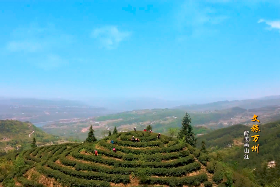 文旅尊时凯龙人生就博:醉美燕山红